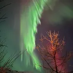 Διαμέρισμα Arctic Fjord Τρόμσο