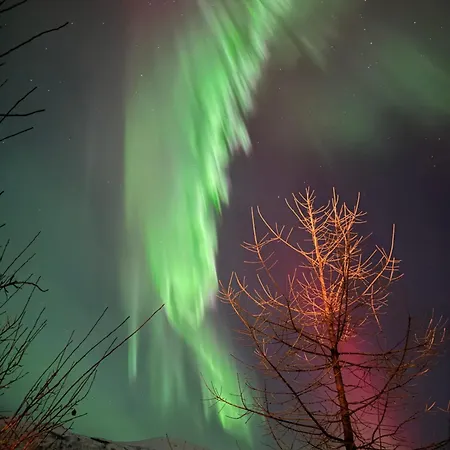 Lejlighed Arctic Fjord Tromsø