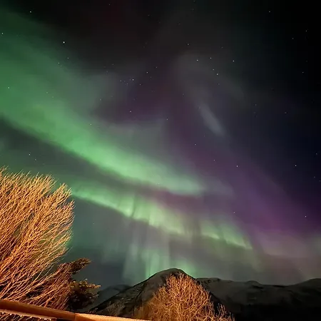 Appartamento Arctic Fjord