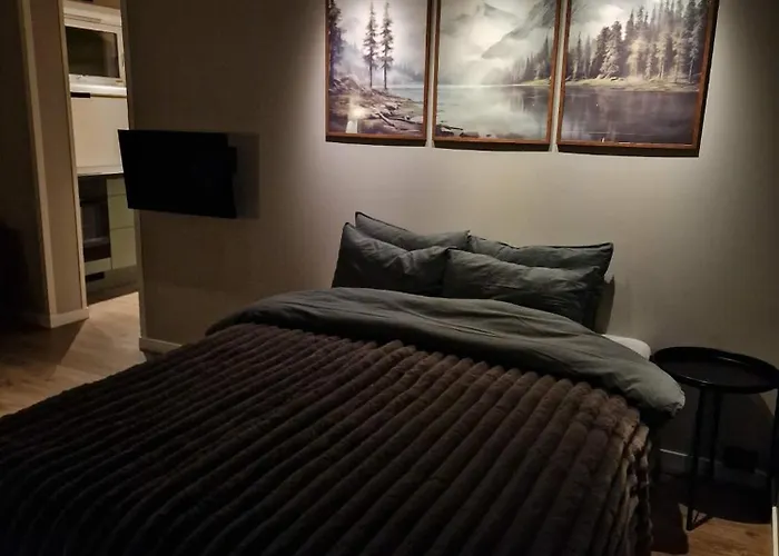 Apartment Arctic Fjord *